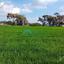 land for sale agia thekla famagusta 1890669 thumbnail 16013870