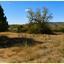 land for sale doros limassol 8966669 thumbnail 17842566