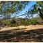 land for sale doros limassol 8966669 thumbnail 17842569
