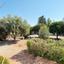 7 bedroom detached house for rent peyia paphos 8866769 thumbnail 17732794