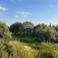 land for sale anarita paphos 8537769 thumbnail 15496702