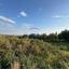 land for sale anarita paphos 8537769 thumbnail 15496703