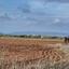 land for sale avgorou famagusta 8628769 thumbnail 15864067