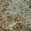 land for sale deryneia famagusta 7602769 thumbnail 9748488