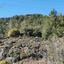 land for sale kaminaria limassol 945769 thumbnail 15602255