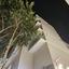 studio apartment for rent limassol municipality limassol 8244869 thumbnail 16339158