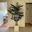 studio office for rent agia zoni limassol 1427869 thumbnail 5615280