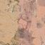5686 SQM Land for sale in Nata, Paphos thumbnail 10919579