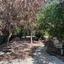 4 bedroom detached house sold parekklisia limassol 8744969 thumbnail 16522263