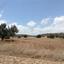 land for sale agios theodoros larnacas larnaca 7738969 thumbnail 12567094