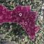 land for sale lagoudera nicosia 8274969 thumbnail 15156614