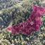 land for sale lagoudera nicosia 8274969 thumbnail 15156615