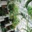studio building for sale neapolis limassol 1546969 thumbnail 5881766