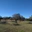 land for sale kornos larnaca 831079 thumbnail 1056877