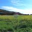 land for sale pissouri limassol 1506079 thumbnail 14150691