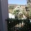 4 bedroom detached house for rent mouttagiaka limassol 1892179 thumbnail 14871534
