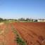 land for sale avgorou famagusta 8839179 thumbnail 17039874