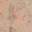land for sale deftera nicosia 830179 thumbnail 6571480