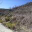 land for sale tsada paphos 974179 thumbnail 889219