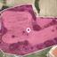 land for sale mazotos larnaca 1249279 thumbnail 7040432