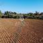 land for sale xylofagou larnaca 1615279 thumbnail 17195474