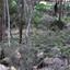 plot for sale psevdas larnaca 1390279 thumbnail 5642264