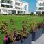 1 bedroom apartment for sale pervolia larnaca 1362379 thumbnail 5637480