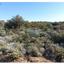 land for sale paramali limassol 1503379 thumbnail 15357005