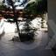 3 bedroom detached house for sale pallouriotissa nicosia 1151479 thumbnail 5135766