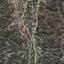 land for sale tempria nicosia 1048479 thumbnail 15603823