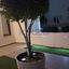 studio apartment building for sale faneromeni larnaca 8417479 thumbnail 14938832