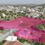 studio detached house for sale mosfiloti larnaca 1650479 thumbnail 4223470