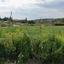 3011 SQM Plot for sale in Maroni, Larnaca thumbnail 16170265