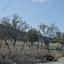 2174 SQM Plot for sale in Anglisides, Larnaca thumbnail 16186474