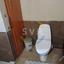 2 bedroom apartment for sale neapolis limassol 1761579 thumbnail 15848952