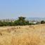 land for sale moni limassol 1582579 thumbnail 5883849