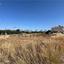 plot for sale pano lakatamia nicosia 8785579 thumbnail 16655337