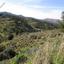 11260 SQM Land for sale in Mitsero, Nicosia thumbnail 16333317