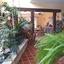5 bedroom detached house for sale parekklisia limassol 1681679 thumbnail 4377892
