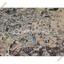 land for sale dali nicosia 8117679 thumbnail 13289185