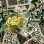 land for sale lofos tala paphos 8639679 thumbnail 15905395