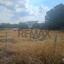 plot for sale dali nicosia 8966679 thumbnail 17843090