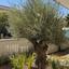 2 bedroom apartment for rent mesa gitonia limassol 7657779 thumbnail 14716136