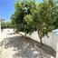 3 bedroom semi detached house for rent faneromeni larnaca 8833779 thumbnail 17011328