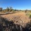 land for sale pera orinis nicosia 8791779 thumbnail 16683998