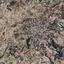 land for sale polemi paphos 8716779 thumbnail 16306242