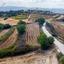 land for sale polemi paphos 8716779 thumbnail 16306247