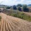 land for sale polemi paphos 8716779 thumbnail 16306251