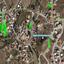 plot for sale analiontas nicosia 8565779 thumbnail 15615289