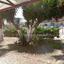 studio commercial building for sale strovolos nicosia 1189779 thumbnail 5174946